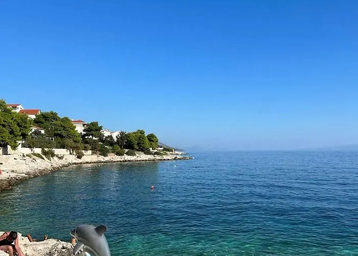 Complex Jelena 3* Trogir