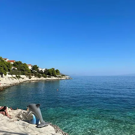 Complex Jelena Πανσιόν 3*