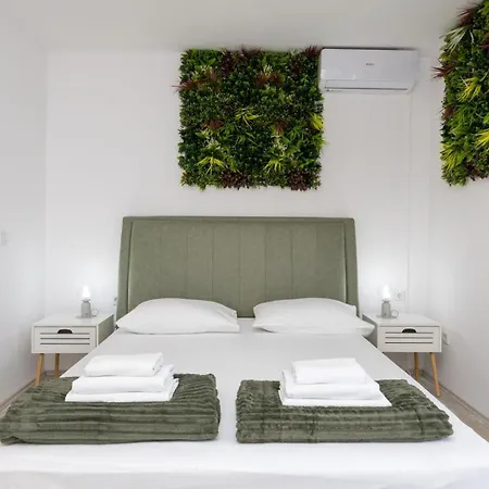 Complex Jelena Guest house 3*