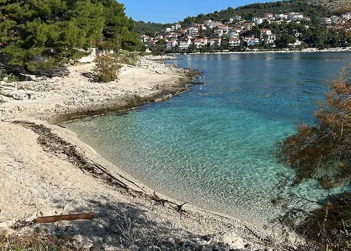 Complex Jelena 特罗吉尔